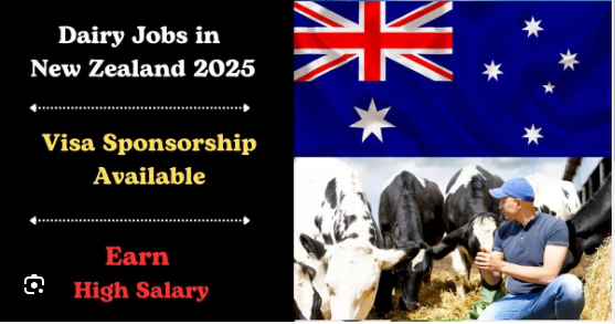 Dairy Farm Workers Jobs in New Zealand with Visa Sponsorship 2025
