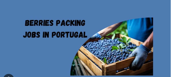 Berries Packing Jobs in Portugal With Visa Sponsorship