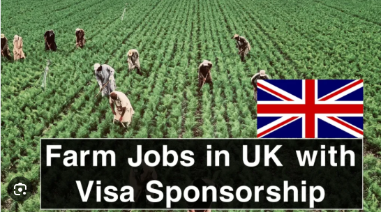 Agricultural Specialist Jobs in UK with Visa Sponsorship 2025 – Hiring Now